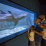 Mara 3* Lido di Jesolo