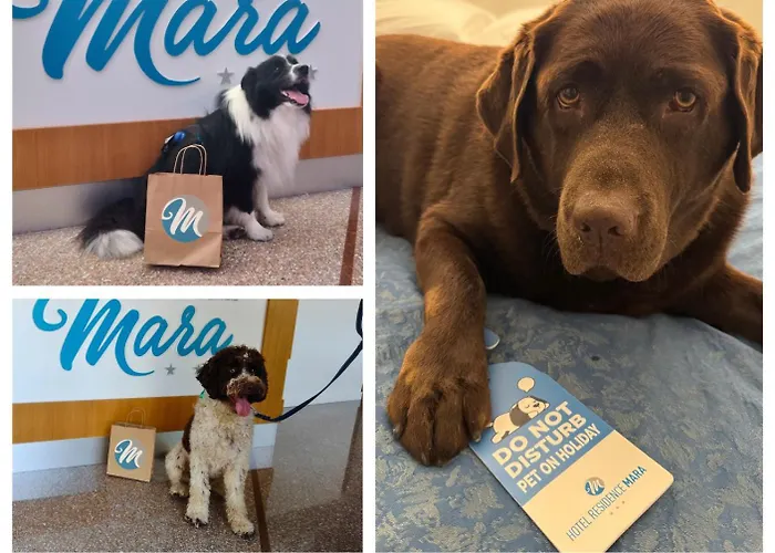 Mara Hotel Lido di Jesolo