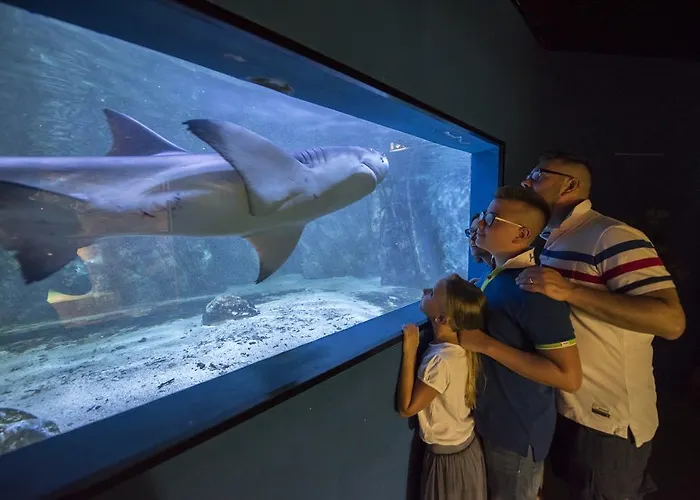 Mara 3* Lido di Jesolo